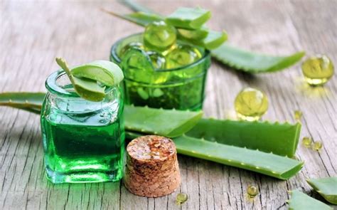 10 Aloe Vera Uses And Side Effects Healthkart