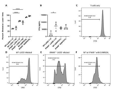 Apcs Are Responsive To Type I Ifn During Ex Vivo T Cell Co Culture