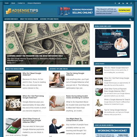 Adsense Blog Premade Wordpress Blog Digital Products Pro