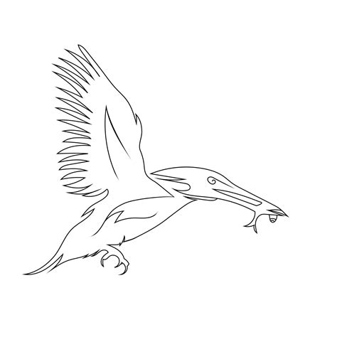 Kingfisher Catching Fish Line Art Drawing Style The Bird Sketch Black