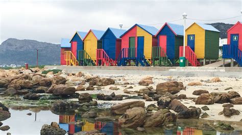 Cape Town South Africa Beach Guide