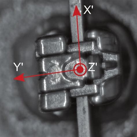 Right-handed coordinate system defined at the base of the bracket ...