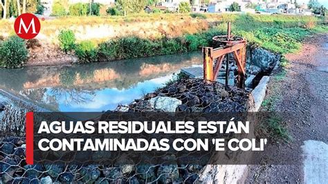 Descubren Presencia De Bacteria E Coli En Aguas Residuales En Valle Del