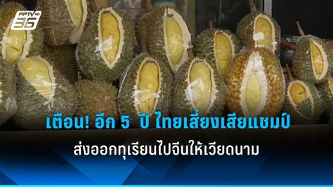 เตือน อีก 5 ปี ไทยเสี่ยงเสียแชมป์ ส่งออกทุเรียนไปจีนให้เวียดนาม Pptvhd36