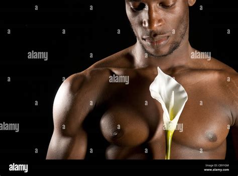 Black Male Nude Holding White Flower Stock Photo Alamy