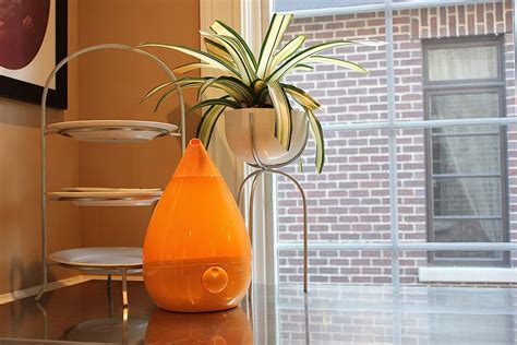 9 Stylish Humidifiers