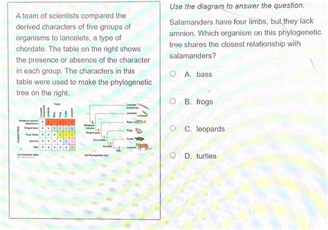 Solved Use the diagram to answer the question. Based on the | Chegg.com 