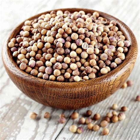 Dried Brown Organic Coriander Seed Form Seeds At Rs 90 Kg In Rajkot