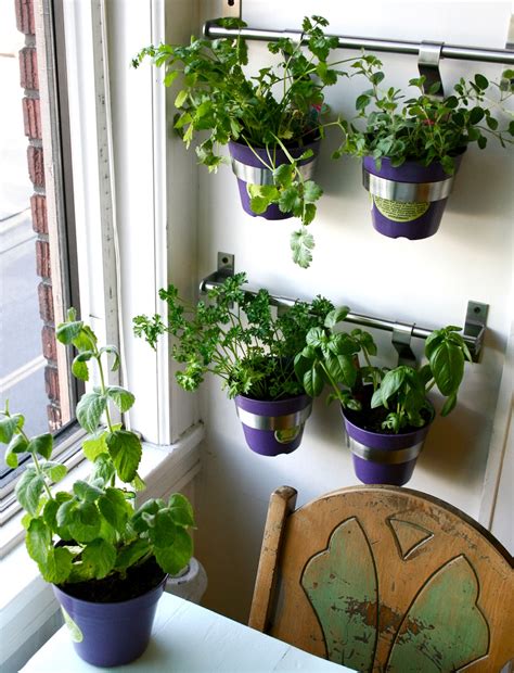 tHE gOOD LIFe: DIY: Herb Wall in the Kitchen