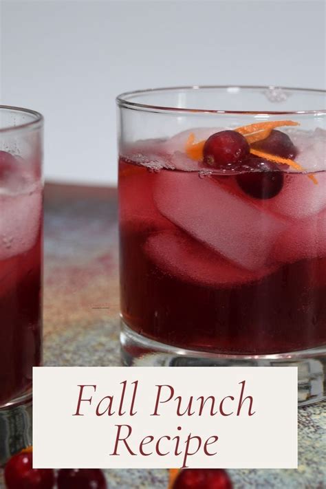 Delicious Fall Punch Recipe