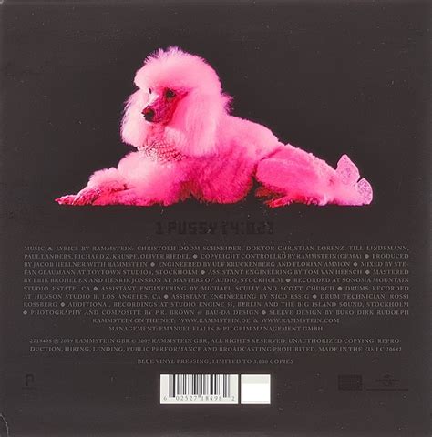 RAMMSTEIN Pussy Single Blue Vinyl New Used Vinyl Records Music CDs Audio Cassettes