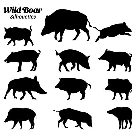 Wild boar silhouette vector illustration set. 22978232 Vector Art at ...