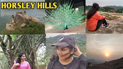 Horsleyhills Trip With Tour Plan How To Reach Horsley Hills Places To