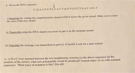 Solved 2. Given the DNA sequence: 5'- G A A T G T C'C A CT A | Chegg.com