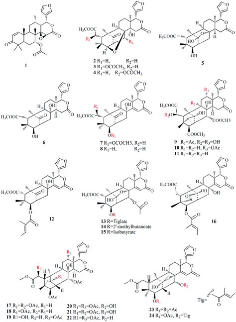 The molecular structure of compounds 1-24. The molecular structure of... | Download Scientific ...