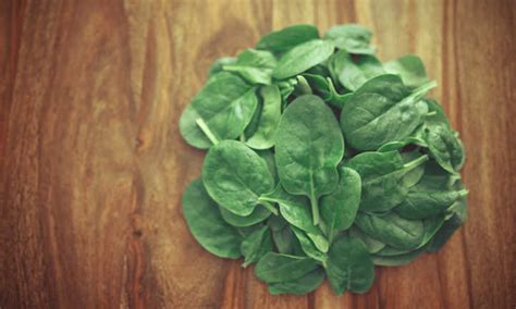 How To Harvest Spinach Without Killing It Epic Gardening