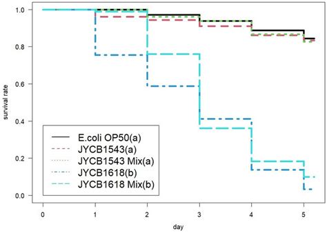 Daily Cumulative Survival Rate Of The Nematode Caenorhabditis Elegans