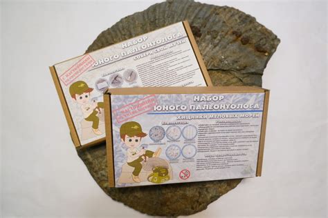 Набор юного палеонтолога: хищники меловых и палеогеновых морей – Проект ...