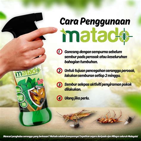 Racun Serangga Organik Spray Perosak Tanaman Pokok Matado Milagro 2022