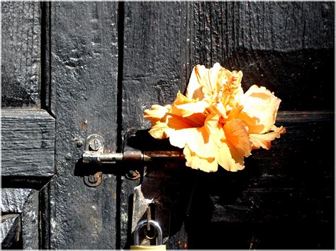 Gallery: finding beauty in unexpected places - Travel with me