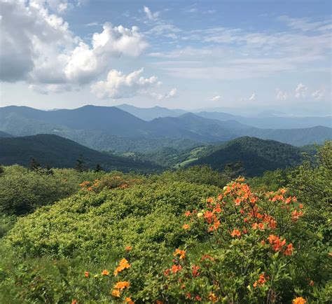 Best Campgrounds near Kingsport, TN