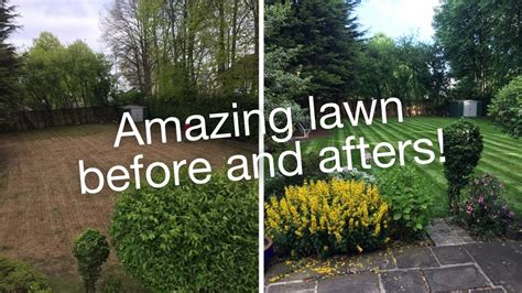 Lawn Transformations From 2020 Trugreen Youtube