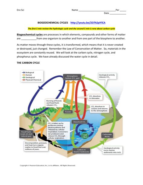 Biogeochemical Cycles Case Study