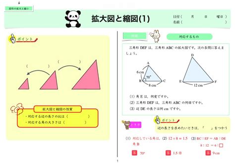 世界一分かりやすい算数 小6 「図形の拡大と縮小」