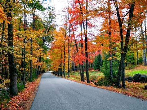 Drive through New England's scenic country roads on a fall foliage road ...