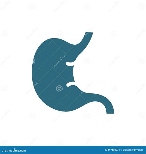 Stomach 3d Colored Vector Image On Human Body For Education Of Anatomy