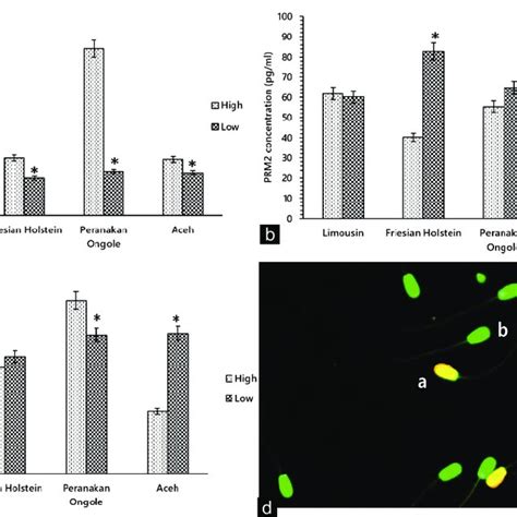 Relationship Between The Protamine Prm1 Prm2 And Prm3 Download