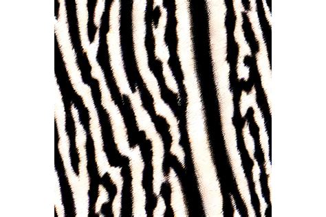 Zebra Skin Seamless Pattern Graphic by Craftable · Creative Fabrica