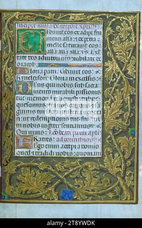 Livre d heures texte médiéval illuminations modernes fauconniers