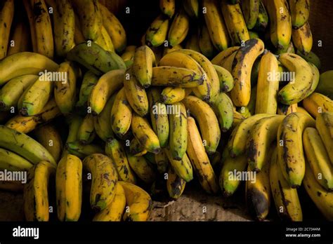 Que Es La Banana Immagini E Fotografie Stock Ad Alta Risoluzione Alamy