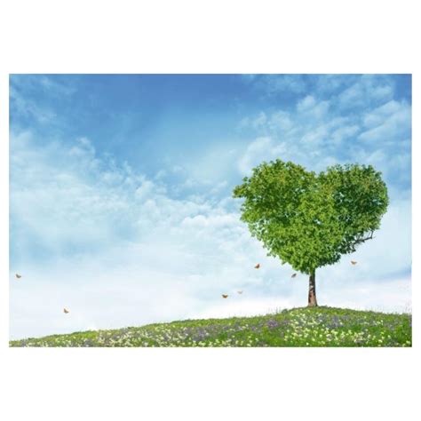 Tableau Toile Mon Arbre Coeur H X L M D Co Impression Sur