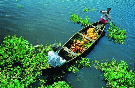 Kerala tourism garners global attention | Media India Group