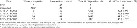 Number Of Gusb Positive Cells In The Midbrain At Various Times