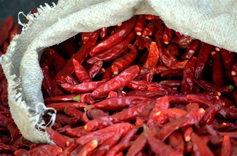 Red Hot Chili Free Stock Photo Public Domain Pictures