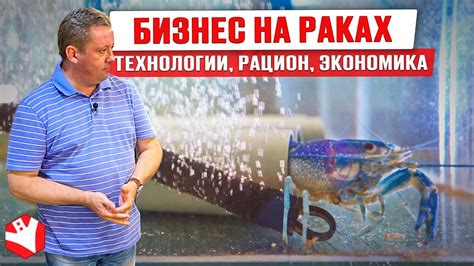 Как работает акваферма? | Выращивание и продажа раков | Бизнес идеи ...