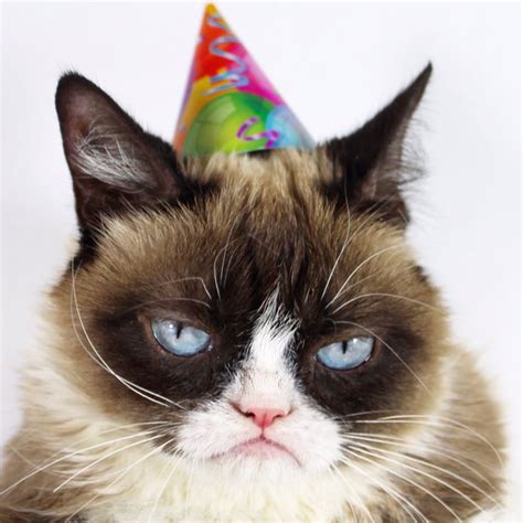 Grumpy Cat Party Hat Blank Template - Imgflip