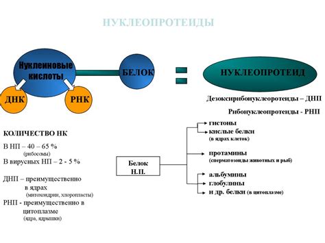 Нуклеопротеиды. Структура и функция нуклеиновых кислот. (Лекция 4 ...