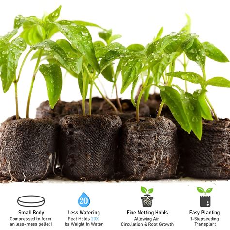 Snapklik Legigo Pcs Mm Seed Starter Peat Pellets Pods For