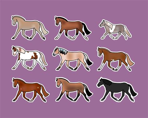 Custom Horse Sticker Horse T Horse Decal T For Horse Etsy