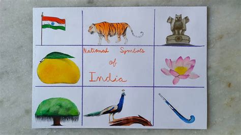 National Symbols Of India/easy Drawing Of National, 49% OFF