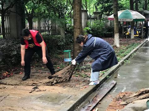 杭州西湖区留下街道以“绣花”功夫推进百日攻坚战役——浙江在线