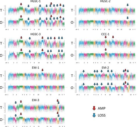 Copy Number Variation Cnv Profiles With Correlations Pearson S R Of