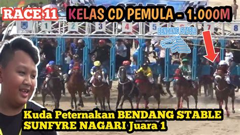 Kelas Cd Pemula M Kuda Sunfyre Nagari Peternakan Bendang