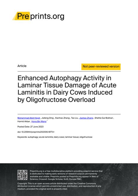 Pdf Enhanced Autophagy Activity In Laminar Tissue Damage Of Acute