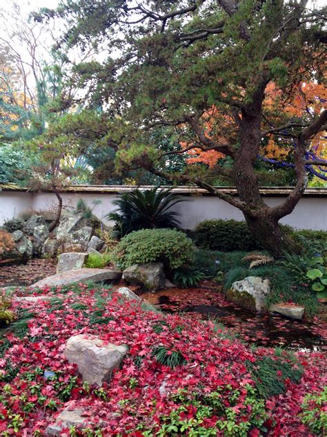 Botanical Gardens in Atlanta, GA. | Beautiful sights, Botanical gardens ...