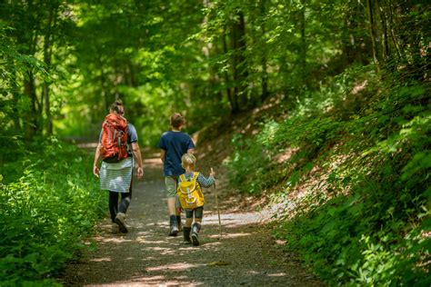 Balades en forêts aux portes de l'Ardenne - Condroz Famenne